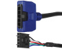 Cable adaptador Balboa String Lights / 5 conductores macho - Haga clic para ampliar