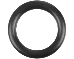 Waterway drain plug o-ring