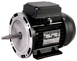 Motor EMG 63/4 de una velocidad, reacondicionado