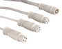 Rising Dragon Evolution splitter - Click to enlarge