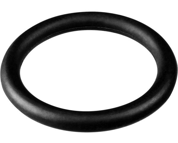 Aquanova quartz O-ring - Haga clic para ampliar