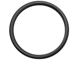 Waterway O-Ring 57 mm fr 1,5"-berwurfmutter