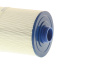 PFF50P4 filter / Freeflow Spas - Click to enlarge