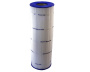 PSR100-4 filter / Sta-Rite - Click to enlarge