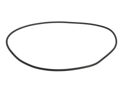 Waterway Viper wet end gasket