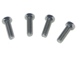 Waterway 48-Frame wet end screws x4